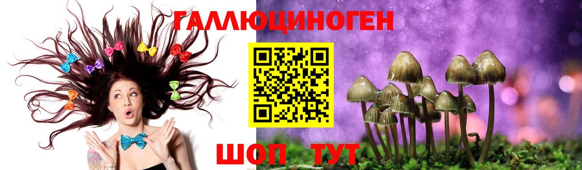 Галлюциногенные грибы Psilocybine cubensis  Вход с VPN  Стрежевой 
